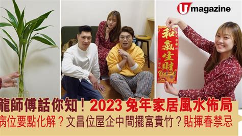 病位 化解 2023|2023兔年家居風水佈局 龍師傅話你知！ 病位要點化。